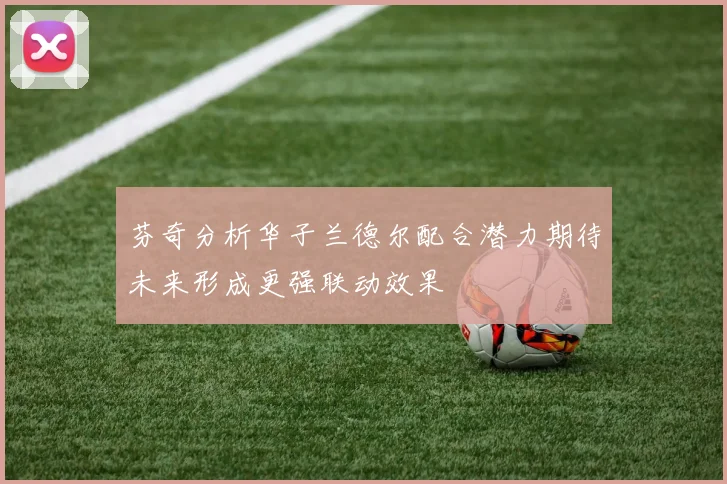 芬奇分析华子兰德尔配合潜力期待未来形成更强联动效果